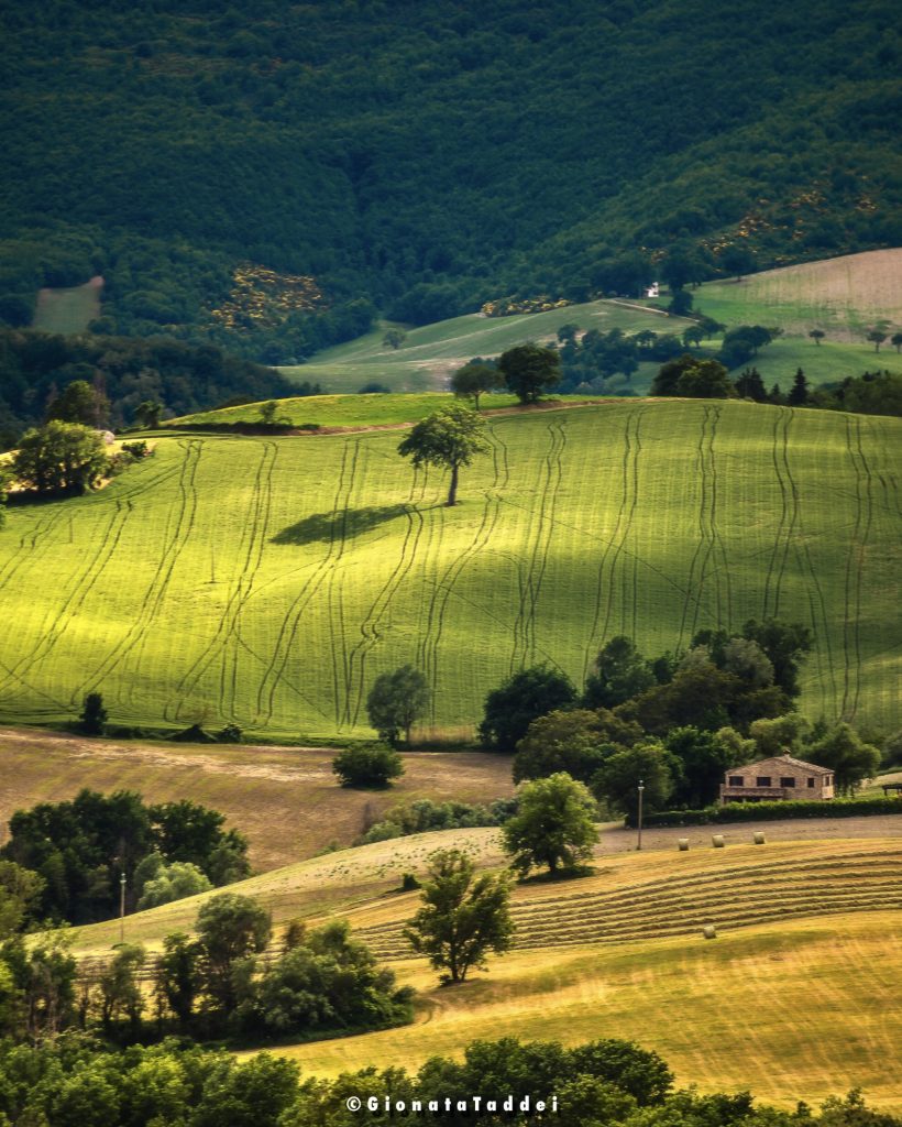 Cingoli (AN)